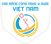 Mẫu web trường học